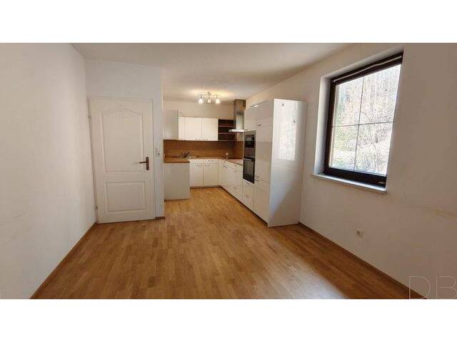 Immobilie in Edlitz - Großzügige 3,5 Zimmer Wohnung mit Süd-Loggia, 2 Eingängen, 2 Bädern & 2 Carportplätzen - auch teilbar! - Bild 4