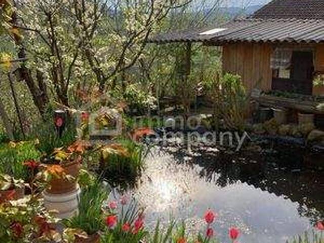 Immobilie in Trautmannsdorf - Sanierungsbedürftiger Streckhof mit Potenzial in schöner Höhen-bzw. Aussichtslage - Bild 1