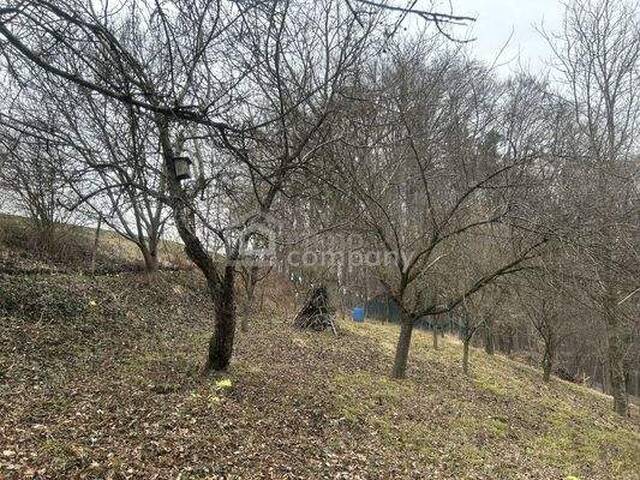 Immobilie in Trautmannsdorf - Sanierungsbedürftiger Streckhof mit Potenzial in schöner Höhen-bzw. Aussichtslage - Bild 3
