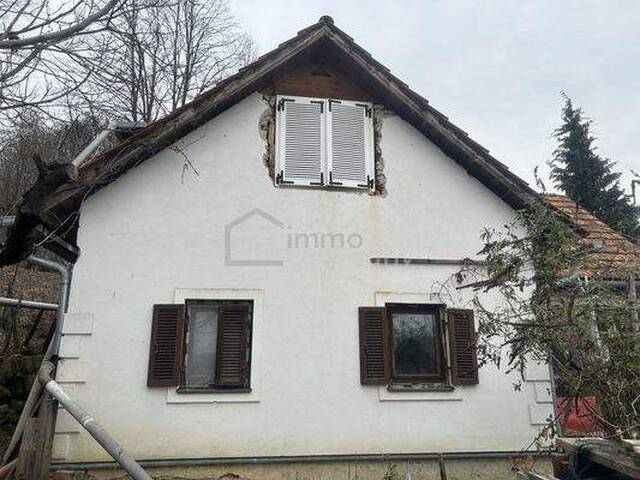 Immobilie in Trautmannsdorf - Sanierungsbedürftiger Streckhof mit Potenzial in schöner Höhen-bzw. Aussichtslage - Bild 4