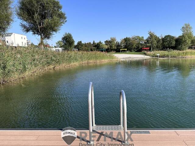 Immobilie in Vösendorf - Badetuch mitbringen! - Bild 1