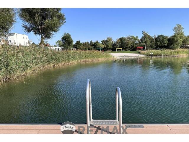 Immobilie in Vösendorf - Badetuch mitbringen! - Bild 4