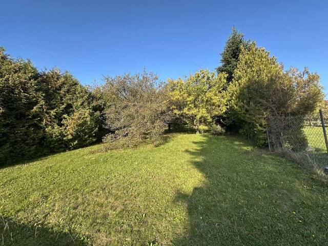 Immobilie in Sieggraben - Ankommen. Durchatmen. Zuhause sein – Einfamilienhaus mit großem Garten in Sieggraben - Bild 1