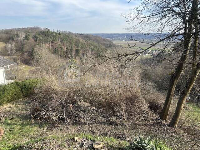 Immobilie in Jennersdorf - Kleines hübsches Haus in schöner Aussichtslage - Bild 3