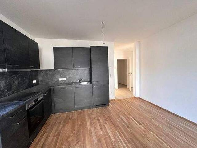 Immobilie in Sinabelkirchen - Erstbezug! 2-Zimmer-Wohnung im 2. OG für Eigennutzer - Bild 4