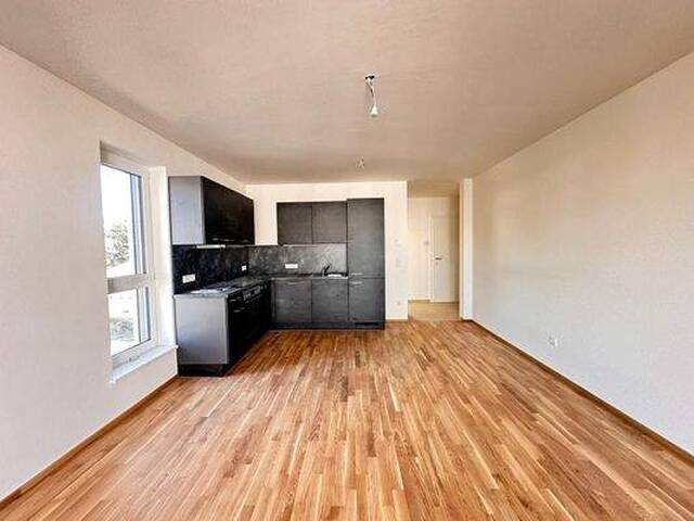 Immobilie in Sinabelkirchen - Erstbezug! 2-Zimmer-Wohnung im 2. OG für Anleger - Bild 3