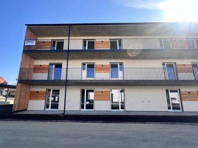 Immobilie in Sinabelkirchen - Erstbezug! 2-Zimmer-Wohnung im EG für Anleger - Bild 3