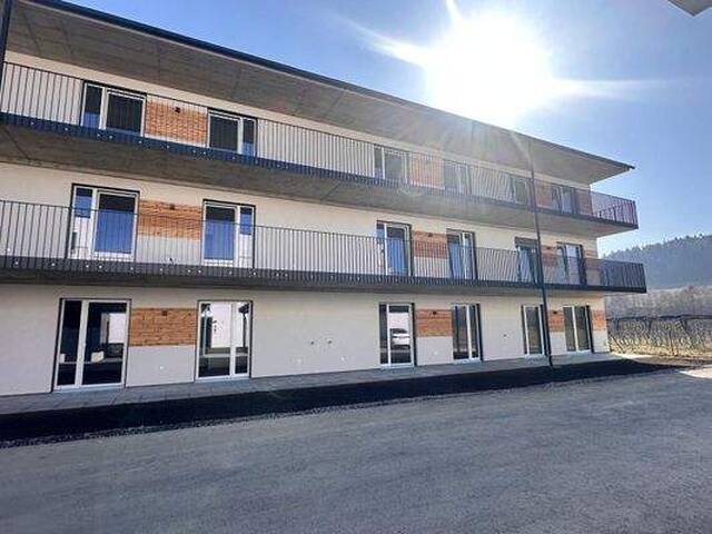 Immobilie in Sinabelkirchen - Erstbezug! 2-Zimmer-Wohnung im EG für Eigennutzer - Bild 3