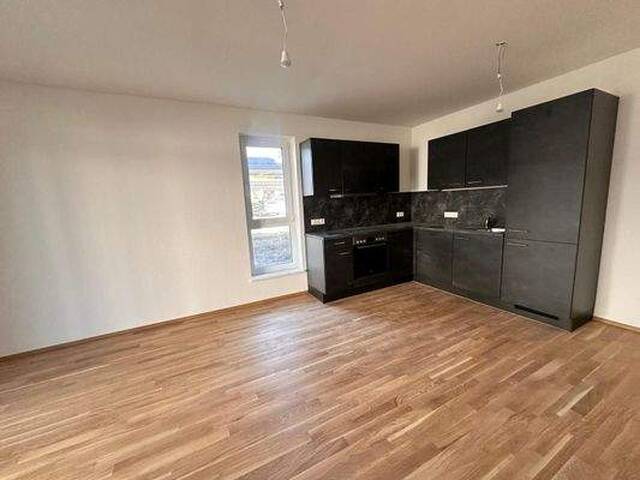 Immobilie in Sinabelkirchen - Erstbezug! 2-Zimmer-Wohnung im EG für Eigennutzer - Bild 4