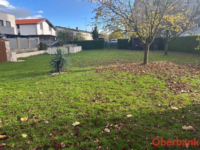 Immobilie in Ansfelden - Zweifamilienhaus in Ansfelden - Bild 4