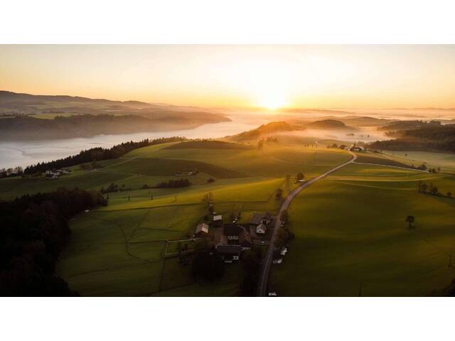 Immobilie in Maierhof - Vierseithof/ Pferdehaltung, Wohnung, Büro, Stallungen, Scheunen, Tiergehege & Wald in Engelhartszell - Bild 3