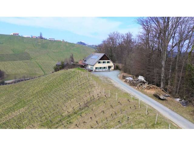 Immobilie in Gamlitz - Allein- und Ruhelage in Gamlitz - Bild 1