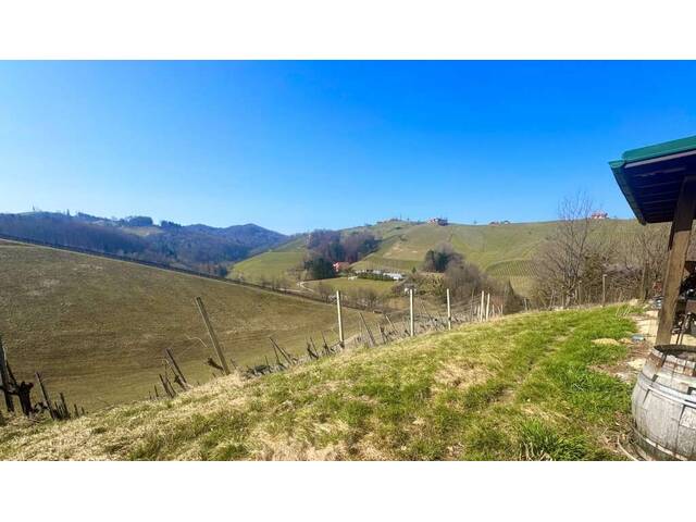 Immobilie in Gamlitz - Allein- und Ruhelage in Gamlitz - Bild 2