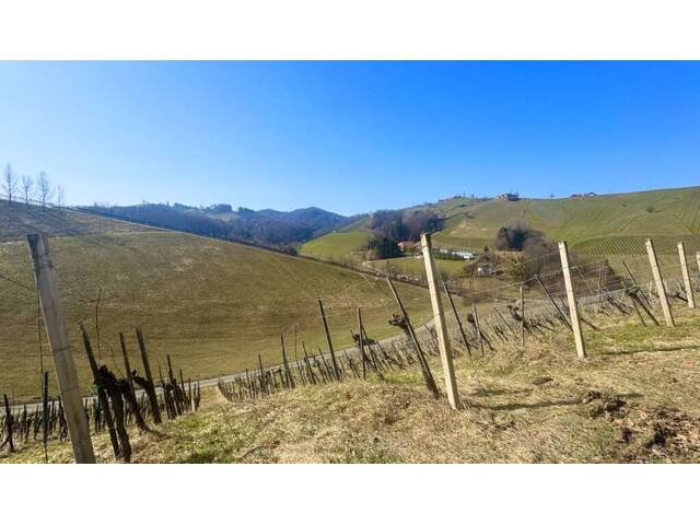 Immobilie in Gamlitz - Allein- und Ruhelage in Gamlitz - Bild 3