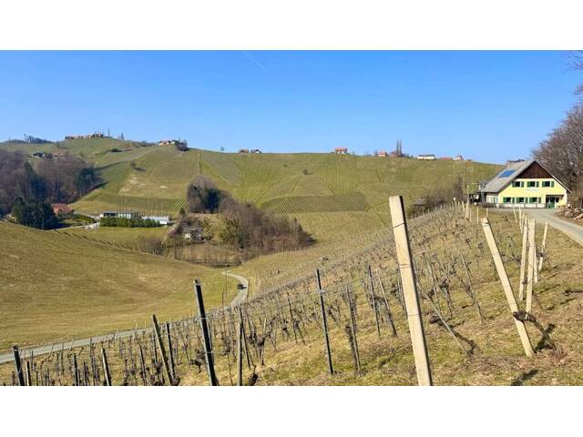 Immobilie in Gamlitz - Allein- und Ruhelage in Gamlitz - Bild 4