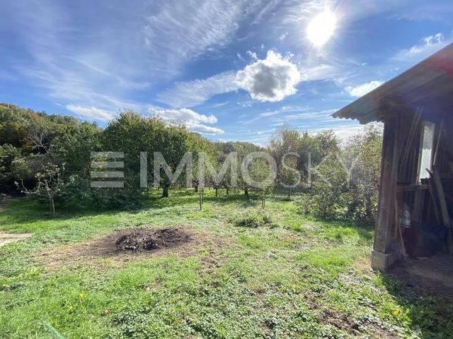 Immobilie in Stadtschlaining - Idyllische Lage: Bauernhof mit Nebengebäuden und großem Obstgarten! - Bild 4