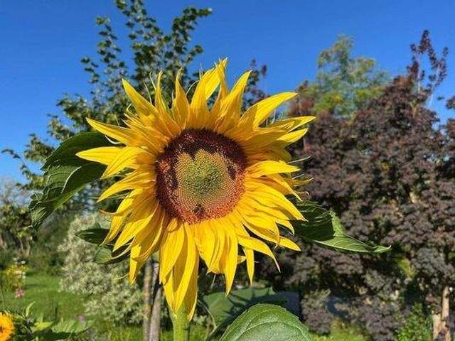 Immobilie in Seekirchen am Wallersee - Neue 3-Zimmer-Gartenwohnung in MATTIGHOFEN / Top 1 - Bild 0