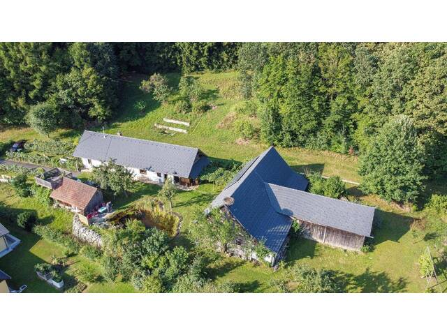 Immobilie in Heiligenbrunn - Altes Bauernhaus (Lehmbau) im Südburgenland - Bild 0