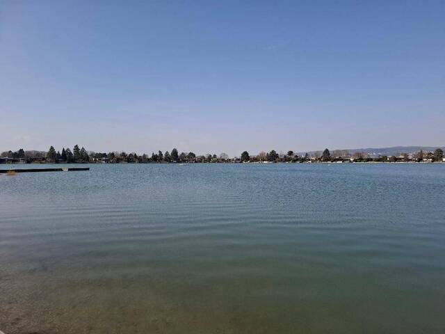 Immobilie in Trausdorf an der Wulka - Trausdorfer See: Wunderschöner Bungalow mit traumhaftem Garten - Bild 0