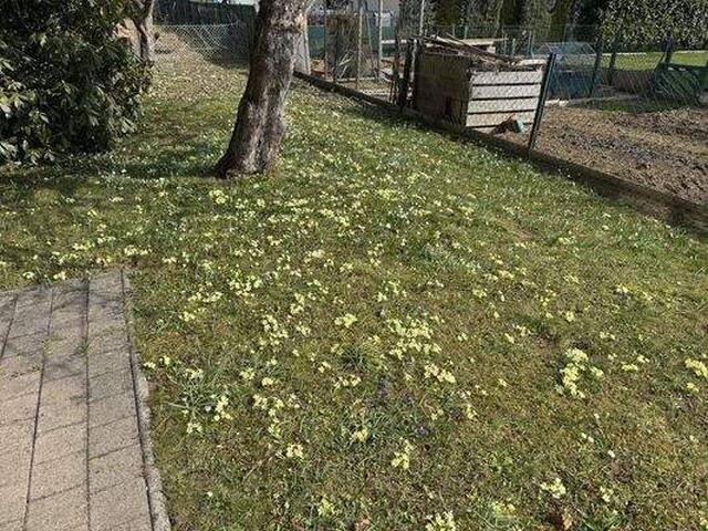 Immobilie in Köflach - Sehr schönes 140m² Haus in Pichling, Terrasse, Garage, 2 Bäder - jetzt kaufen! - Bild 1