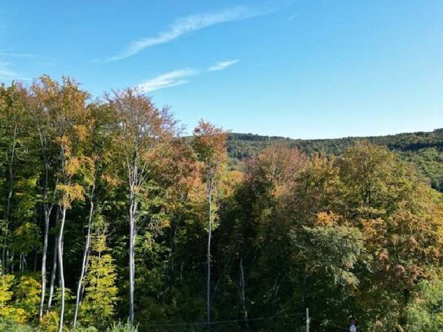 Immobilie in Mauerbach - Wienerwald Südhang: Einfamilienhaus mit Potenzial in Mauerbach an der Stadtgrenze Wiens (2 km) - Bild 1
