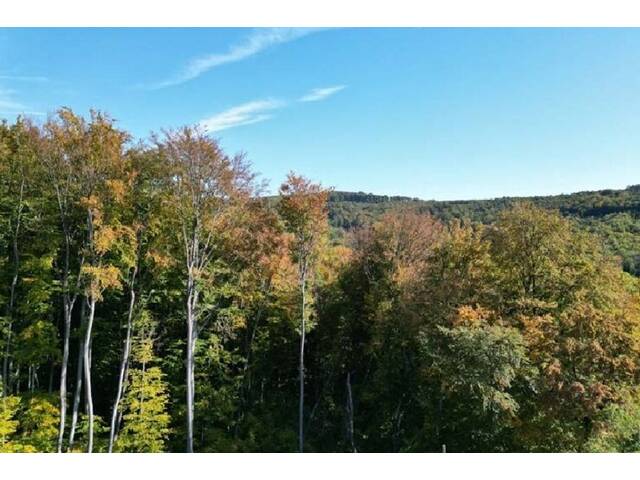 Immobilie in Mauerbach - Wienerwald Südhang: Einfamilienhaus mit Potenzial in Mauerbach an der Stadtgrenze Wiens (2 km) - Bild 4