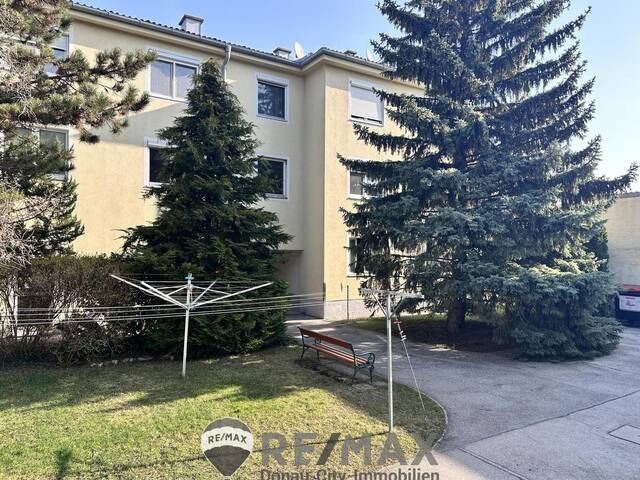 Immobilie in Vösendorf - Große Wohnung - kleiner Preis! - Bild 0