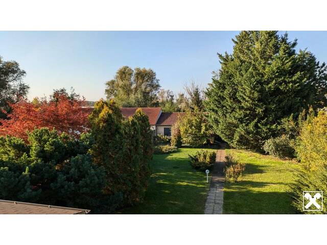 Immobilie in Andau - Gelegenheit - Preisreduziert - Einfamilienhaus auf großem Grund in ruhiger Lage ! - Bild 1