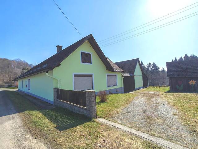 Immobilie in Neuhaus am Klausenbach - Haus mit viel Grund für eigene Projekte - Bild 0