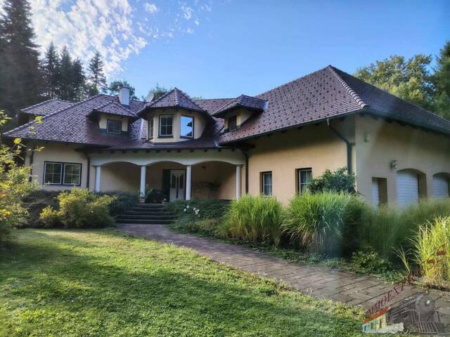 Immobilie in Kaumberg - Tolle Villa mit neuer PV-Anlage bietet viel Platz und ruhige, grüne Umgebung - nur ca. 38 min zur Stadtgrenze Wien! - Bild 0