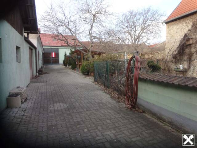Immobilie in Trautmannsdorf an der Leitha - Ein Stück Niederösterreich - traditioneller Streckhof zum Verlieben! - Bild 1