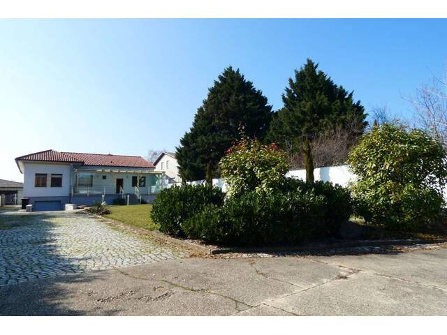 Immobilie in Mönchhof - TOP GEPFLEGTE LIEGENSCHAFT INKLUSIVE 270 m2 HALLE UND GRÜNLAND - Bild 3