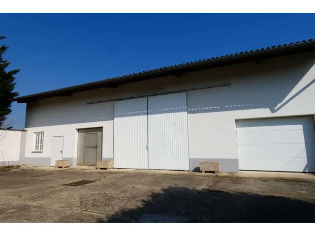 Immobilie in Mönchhof - TOP GEPFLEGTE LIEGENSCHAFT INKLUSIVE 270 m2 HALLE UND GRÜNLAND - Bild 4