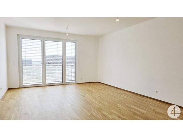 Immobilie in Kirchberg am Wagram - Schicke Neubauwohnung Kirchberg am Wagram - Bild 3