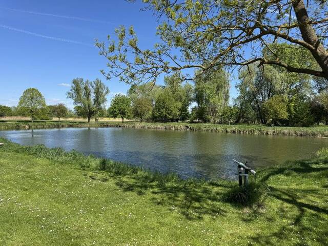 Immobilie in Rabensburg - Geben sie dieser Immobilie neuen Charme. Neuer Lebensmittelpunkt mit Grünblick ruhige Siedlungsrandlage - Bild 3