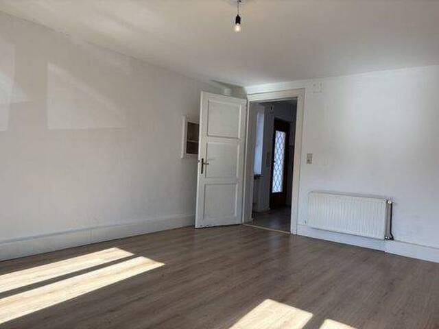 Immobilie in Stegersbach - Streckhof mit begrüntem Innenhof mit diversen Lagermöglichkeiten und Garage - Bild 1