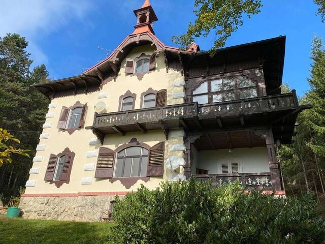 Immobilie in Sautern - Befristet vermietete Jahrhundertvilla sowie 2 leere Baugrundstücke mit Waldanteil zu verkaufen! - Bild 0