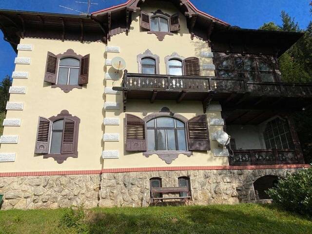 Immobilie in Sautern - Befristet vermietete Jahrhundertvilla sowie 2 leere Baugrundstücke mit Waldanteil zu verkaufen! - Bild 1