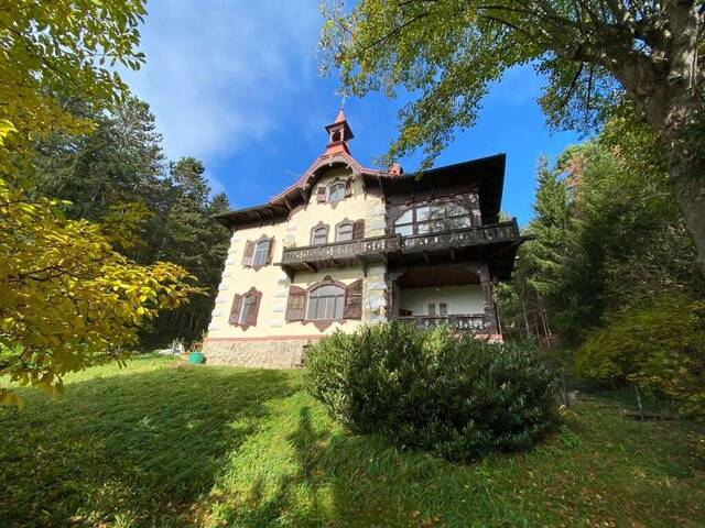 Immobilie in Sautern - Befristet vermietete Jahrhundertvilla sowie 2 leere Baugrundstücke mit Waldanteil zu verkaufen! - Bild 2