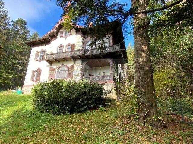 Immobilie in Sautern - Befristet vermietete Jahrhundertvilla sowie 2 leere Baugrundstücke mit Waldanteil zu verkaufen! - Bild 3