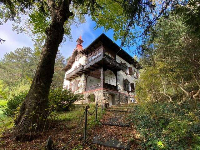 Immobilie in Sautern - Befristet vermietete Jahrhundertvilla sowie 2 leere Baugrundstücke mit Waldanteil zu verkaufen! - Bild 4