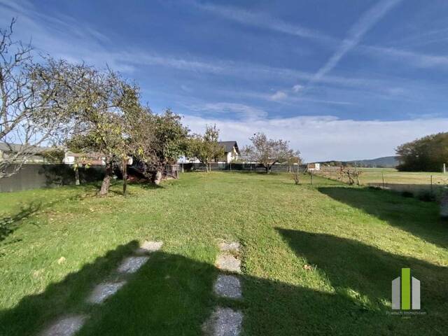 Immobilie in Kotezicken - Wohnhaus mit vielfacher Nutzungsmöglichkeit - Bild 2