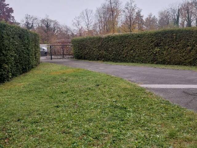 Immobilie in Enzersdorf an der Fischa - 2431 Enzersdorf/Fischa - Arbeiten und Wohnen in einem Haus - Bild 3