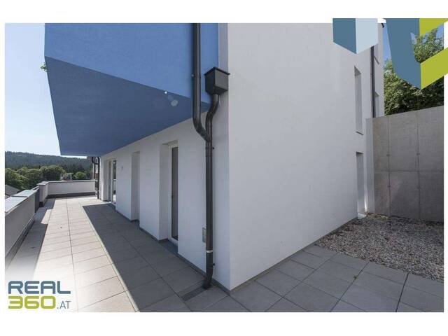 Immobilie in Kirchschlag bei Linz - 4-Zimmer-Neubauwohnung mit Fernblick + ca. 51m² Terrasse Nahe Linz! - Bild 3
