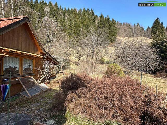 Immobilie in Mürzsteg - +++Wohnhäuser in ruhiger Lage mit Carport und Wintergarten+++ - Bild 2