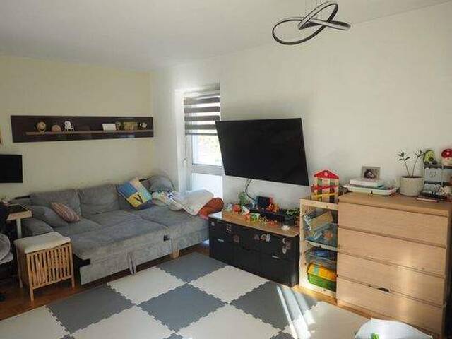 Immobilie in Schwanenstadt - Eigentumswohnung in Top-Lage - Bild 1