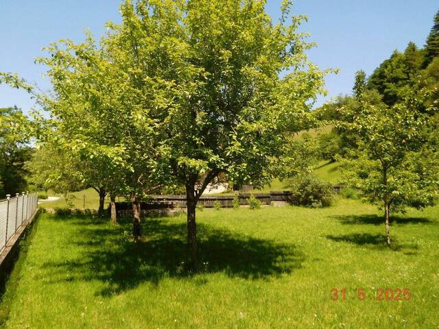 Immobilie in St. Veit an der Gölsen - Mehrparteienhaus (zur Eigennutzung, als Anlageobjekt und/oder gewerblich) Provisionsfrei! - Bild 1