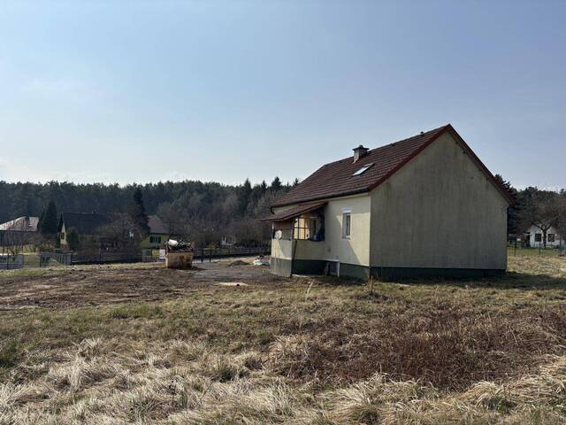 Immobilie in Kemeten - Einfamilienhaus mit 5600 m2 Grundstück ( auch Bauland und lw. Fläche ) - Bild 1