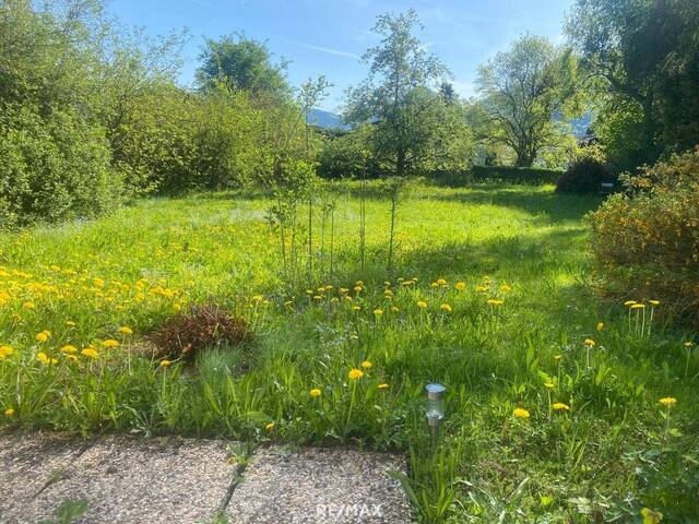 Immobilie in Scharnstein - IHR Rückzugsort im GRÜNEN – großes Grundstück, viel Potenzial - Bild 1