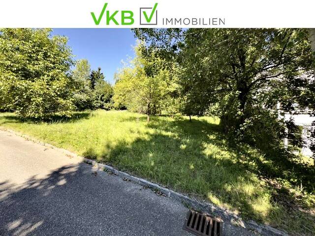 Immobilie in Seewalchen am Attersee - SEEWALCHEN AM ATTERSEE: Exklusives Wohn- und Arbeitsrefugium mit Weinkeller und Doppelcarport in begehrter Lage! - Bild 2